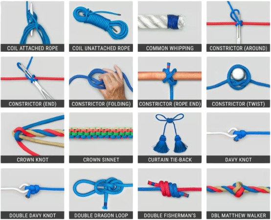 Animated Knots